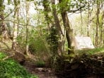 Woodland setting Woodland setting